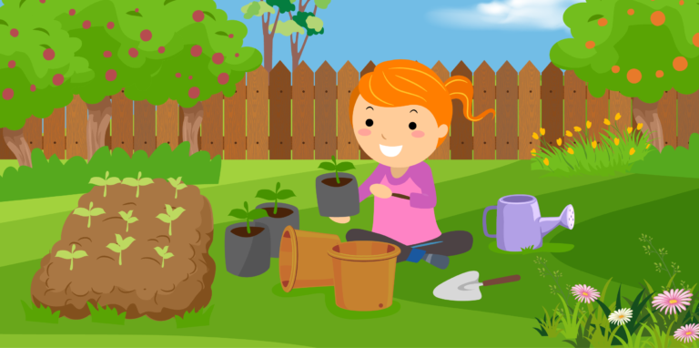 Importance of Plants – Adventures at your place