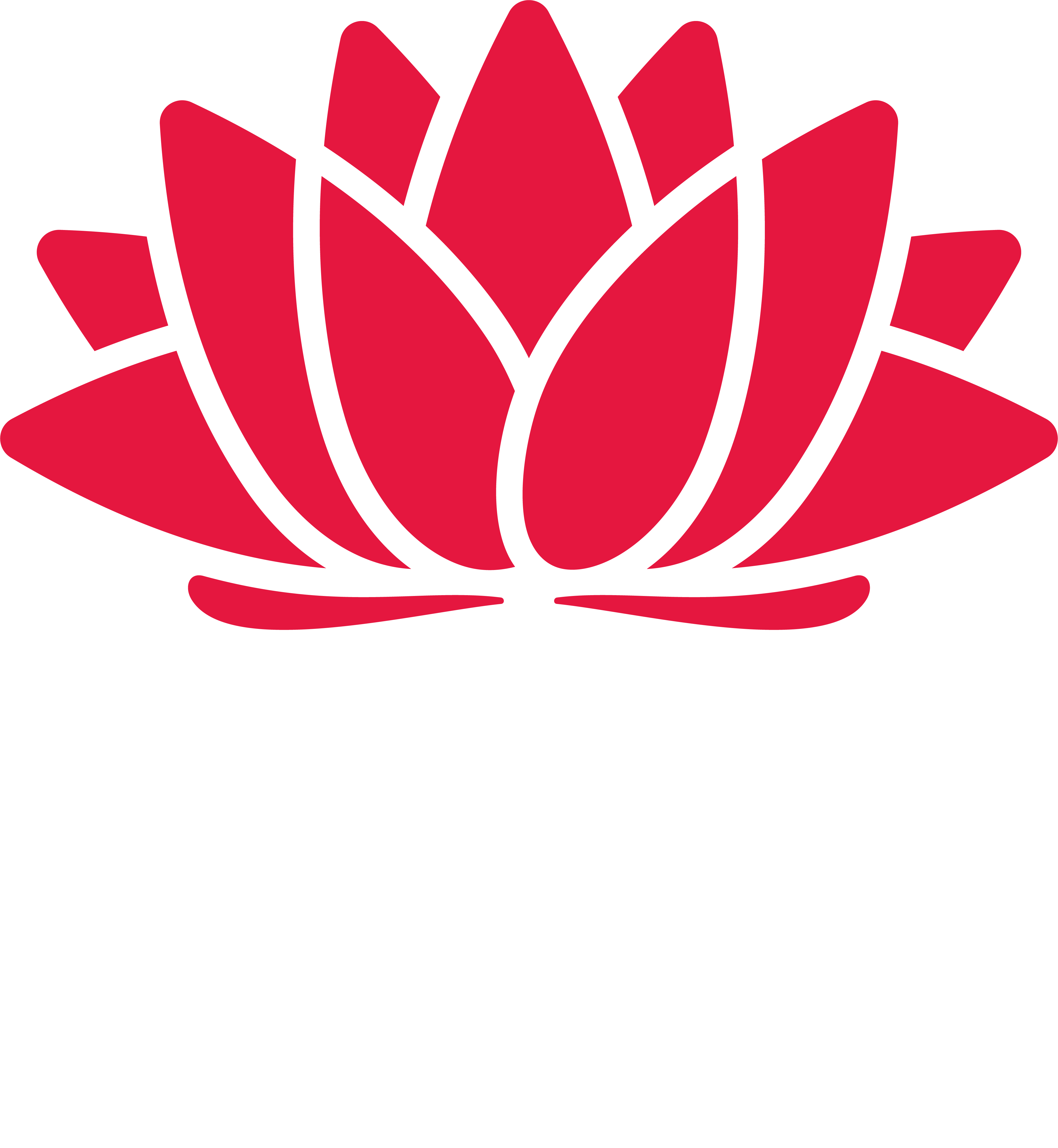 NSW Government Logo